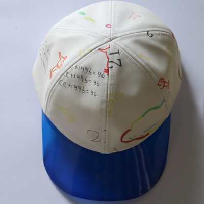 Gedrukte het Honkbalhoeden van de manier Plastic Rekening Douane, Zonbescherming Headwear voor de Zomer