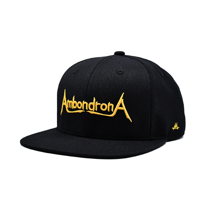 Aangepaste platte rand Snapback hoeden Borduurwerk Flat Bill Baseballcap