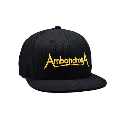 Aangepaste platte rand Snapback hoeden Borduurwerk Flat Bill Baseballcap