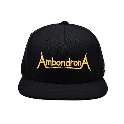 Aangepaste platte rand Snapback hoeden Borduurwerk Flat Bill Baseballcap