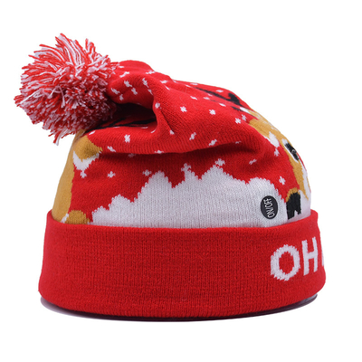 Unisex winterhoeden met borduurpatroon voor het koude seizoen