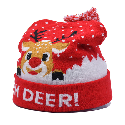 Unisex winterhoeden met borduurpatroon voor het koude seizoen