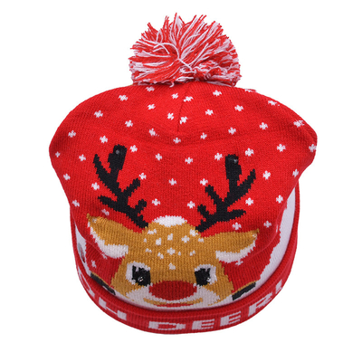 Unisex winterhoeden met borduurpatroon voor het koude seizoen