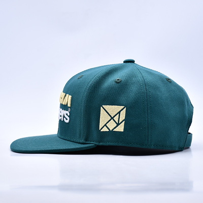 3D borduur logo stijlvolle kwaliteit 6 panelen snapback hoed warm te koop