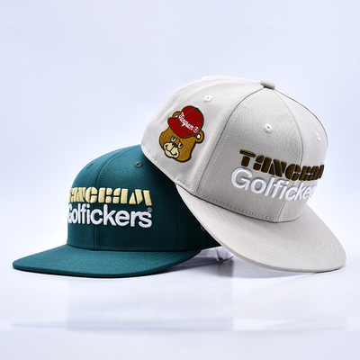 3D borduur logo stijlvolle kwaliteit 6 panelen snapback hoed warm te koop