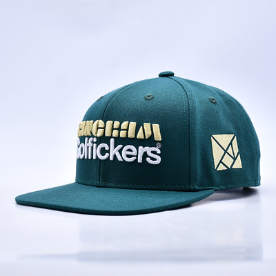 3D borduur logo stijlvolle kwaliteit 6 panelen snapback hoed warm te koop