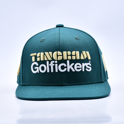 3D borduur logo stijlvolle kwaliteit 6 panelen snapback hoed warm te koop