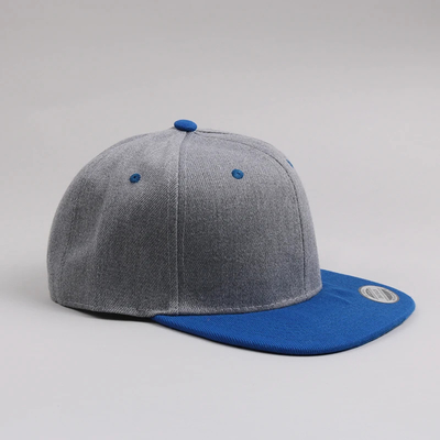 Nieuwe volwassenen 6 paneel snapback cap Custom twee-ton platte rand snapback cap