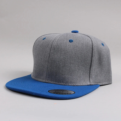 Nieuwe volwassenen 6 paneel snapback cap Custom twee-ton platte rand snapback cap