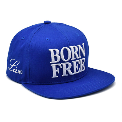 Adembenemende Snapback Hoed met Custom Embroidery Logo