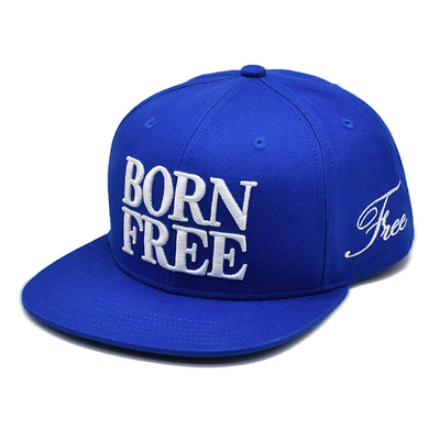 Adembenemende Snapback Hoed met Custom Embroidery Logo