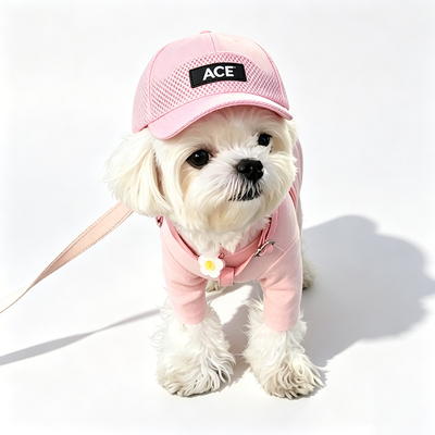 50 gram katoen schattig pet hoed veelzijdig ontwerp matches verschillende outfits en huisdier persoonlijkheden perfect cadeau