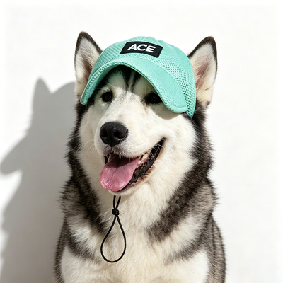 Outdoor en indoor pet hoed geschikt voor kleine honden Pakket omvat 1 x Pet hoed verstelbare riem voor veilige pasvorm