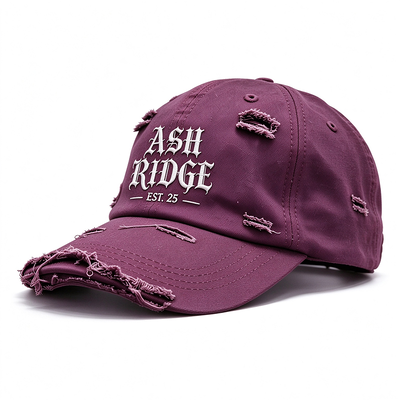 Stressed ademend lichtgewicht sport papshat opgeheven borduurwerk handwasbaar ideaal voor casual wear outdoor liefhebbers